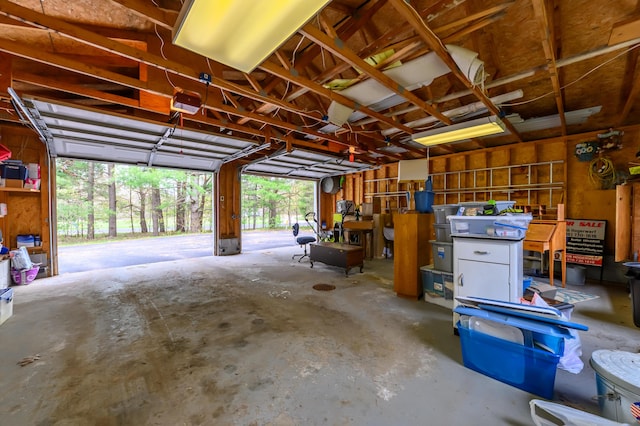 8279 Luce St, Alanson, MI 49706 - view of garage