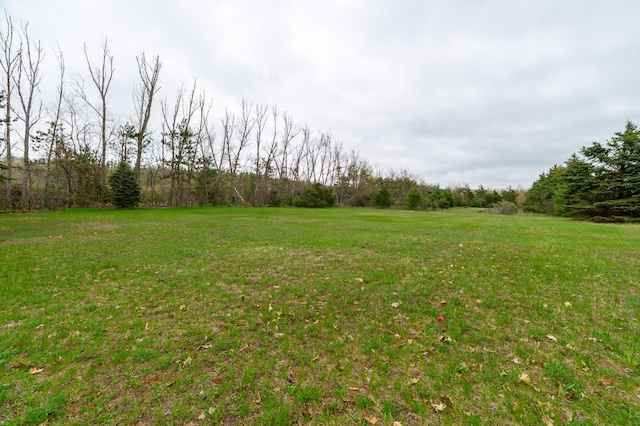 8279 Luce St, Alanson, MI 49706 - view of green lawn