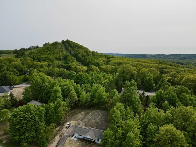 4144 S Sugar Loaf Mountain Rd, Cedar, MI 49621