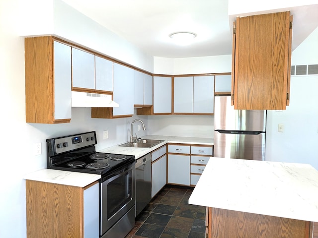 599 Echo Ct, Saline, MI 48176 - kitchen featuring stainless steel appliances, a sink, under cabinet range hood, light countertops, and stone finish floors