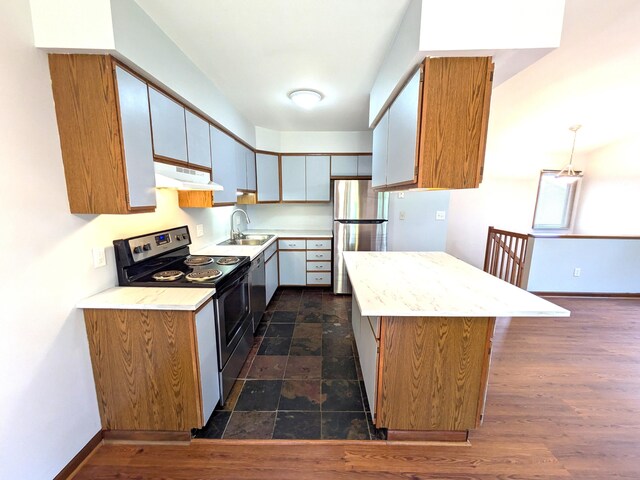 599 Echo Ct, Saline, MI 48176 - kitchen with appliances with stainless steel finishes, under cabinet range hood, a sink, and baseboards