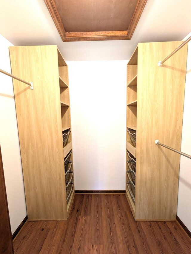 599 Echo Ct, Saline, MI 48176 - walk in closet featuring dark wood-style floors