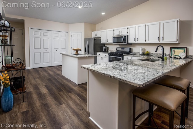 828 Crystal Ln, Marysville, MI 48040 - kitchen with stainless steel appliances, a kitchen island, a peninsula, a sink, and lofted ceiling