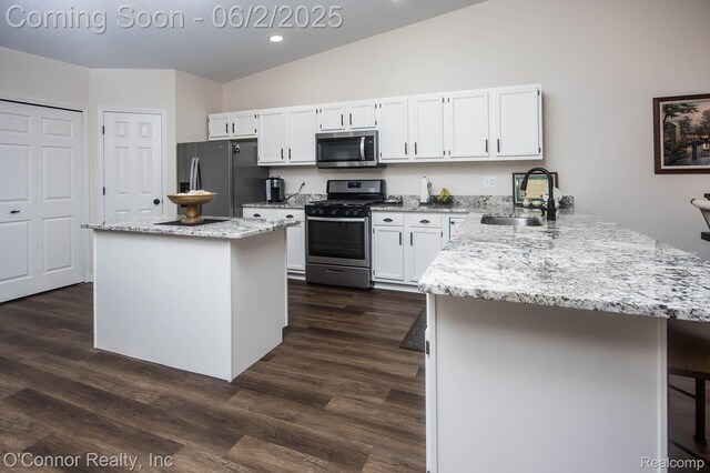 828 Crystal Ln, Marysville, MI 48040 - kitchen featuring appliances with stainless steel finishes, a sink, a peninsula, vaulted ceiling, and white cabinetry