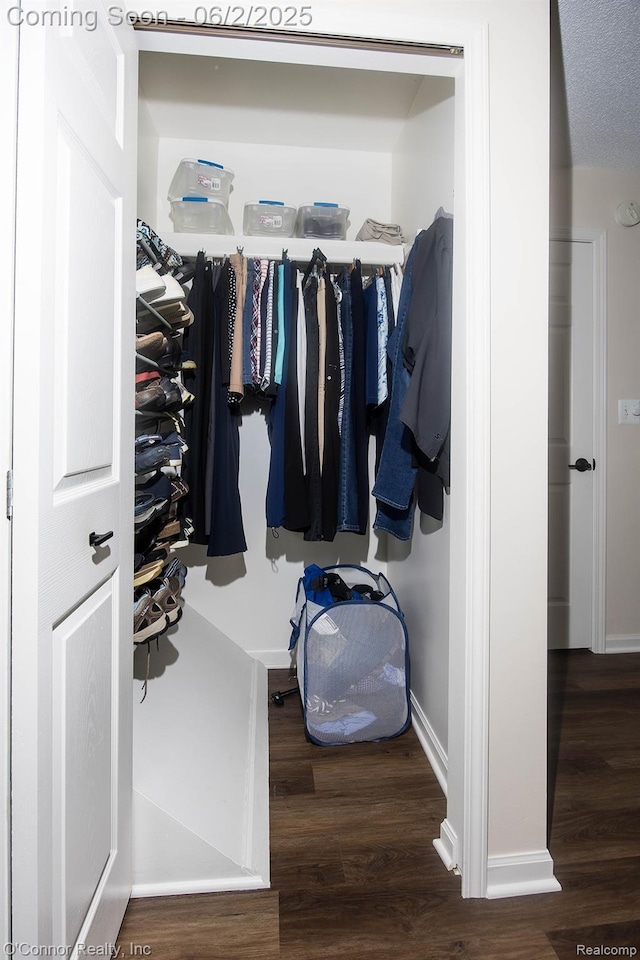 828 Crystal Ln, Marysville, MI 48040 - view of closet