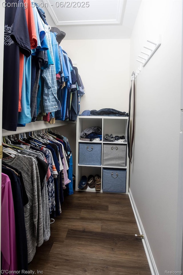 828 Crystal Ln, Marysville, MI 48040 - walk in closet featuring wood finished floors
