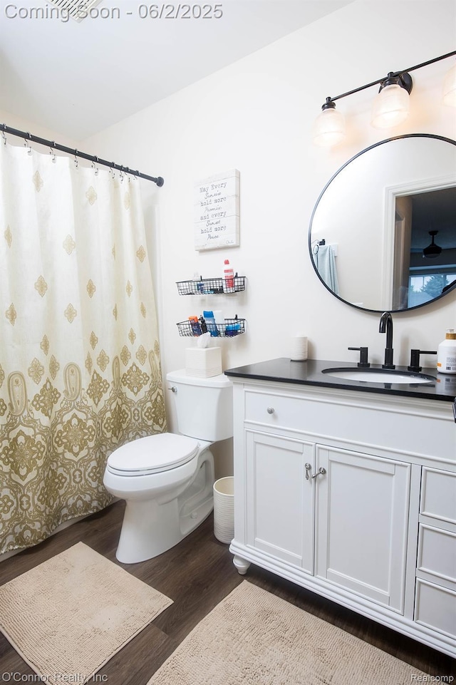 828 Crystal Ln, Marysville, MI 48040 - bathroom featuring wood finished floors, vanity, toilet, and a shower with curtain