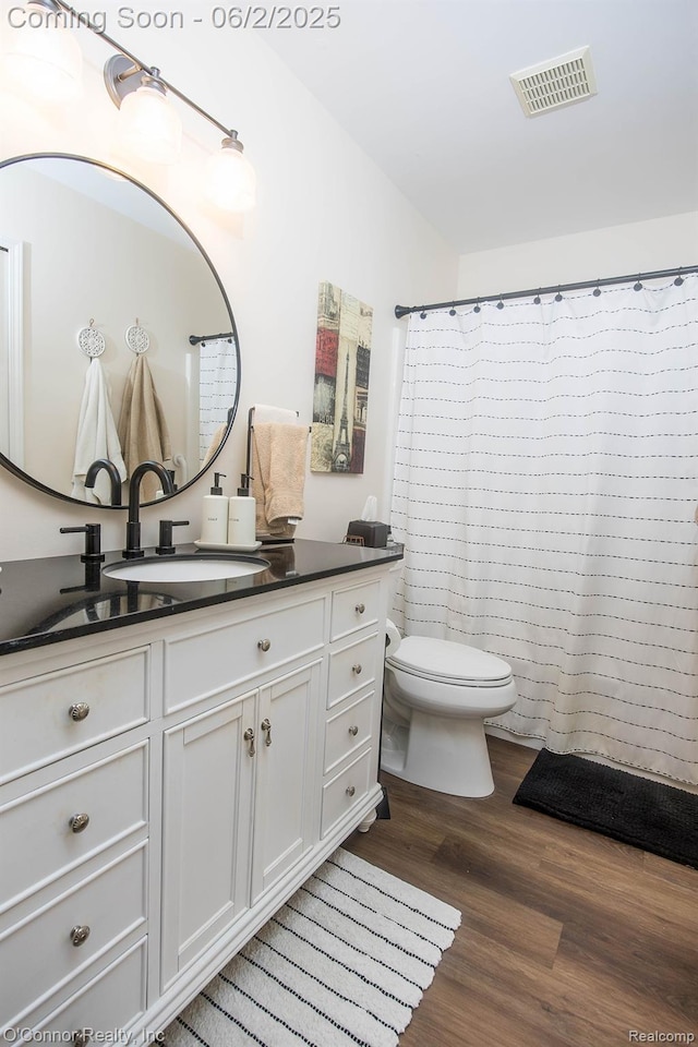 828 Crystal Ln, Marysville, MI 48040 - full bathroom with vanity, toilet, wood finished floors, and a shower with shower curtain