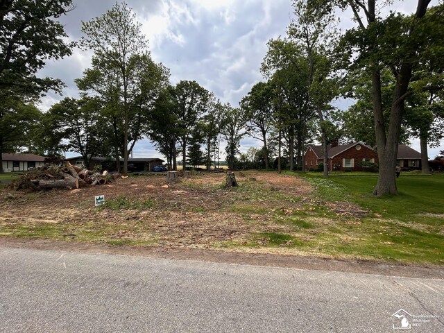 0 Strasburg Rd, Monroe, MI 48161 - photo 3