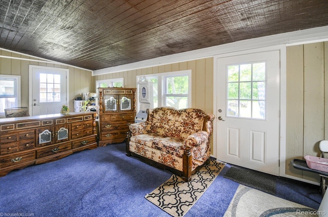 355 Carpenter Rd, Fostoria, MI 48435 - sitting room with carpet flooring, wooden walls, and wooden ceiling