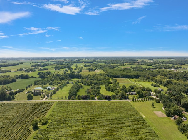 6130 Eidson Rd, Saint Joseph, MI 49085 - view of rural area with rows of crops