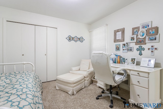 3361 English Hills Dr NW Unit 16, Grand Rapids, MI 49544 - carpeted bedroom with a closet and a desk