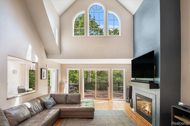 8315 Woodland Cir, Goodrich, MI 48438 - living room with a fireplace, wood finished floors, healthy amount of natural light, and high vaulted ceiling