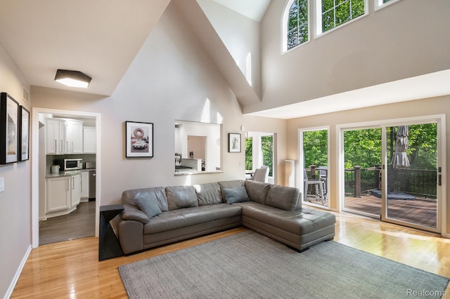 8315 Woodland Cir, Goodrich, MI 48438 - living area with healthy amount of natural light, light wood finished floors, a towering ceiling, and baseboards