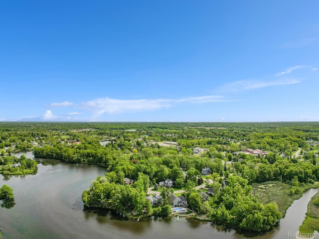8315 Woodland Cir, Goodrich, MI 48438 - aerial view of a forest and a nearby body of water