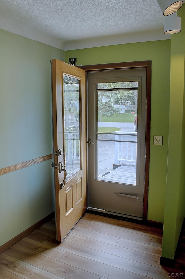 2683 Elmwood Dr, Adrian, MI 49221 - entryway featuring light wood-style floors and healthy amount of natural light