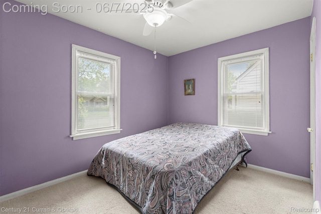 919 Whitcomb Ave, Royal Oak, MI 48073 - bedroom with carpet flooring, multiple windows, and baseboards