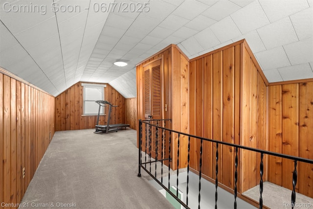 919 Whitcomb Ave, Royal Oak, MI 48073 - bonus room featuring lofted ceiling, wooden walls, and carpet flooring