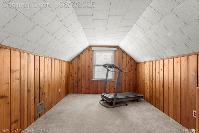 919 Whitcomb Ave, Royal Oak, MI 48073 - workout room with carpet, wood walls, and vaulted ceiling