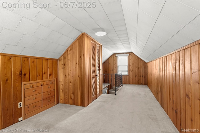 919 Whitcomb Ave, Royal Oak, MI 48073 - additional living space with wooden walls, lofted ceiling, and carpet