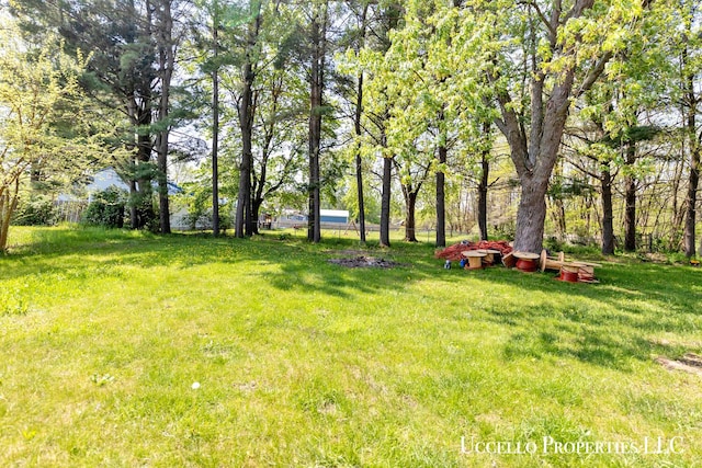4505 E Apple Ave, Muskegon, MI 49442 - view of green lawn