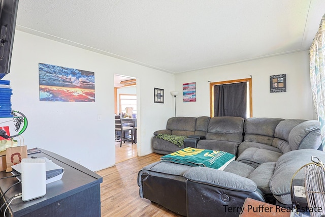 607 66th St SE, Grand Rapids, MI 49548 - living room with light wood-style flooring