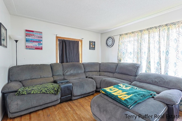 607 66th St SE, Grand Rapids, MI 49548 - living room featuring wood finished floors and a textured ceiling