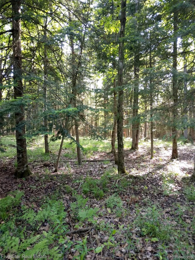 1578 Evergreen Dr, West Branch, MI 48661 - view of undeveloped land