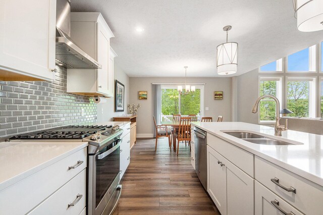 883 Water Ridge Dr, Byron Center, MI 49315 - kitchen featuring wall chimney exhaust hood, a sink, appliances with stainless steel finishes, light countertops, and decorative backsplash