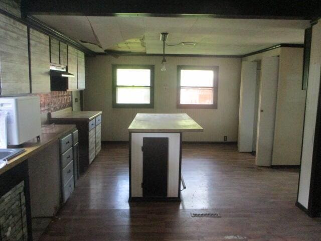 322 Crescent St, Watervliet, MI 49098 - kitchen featuring dark wood finished floors, under cabinet range hood, a center island, and decorative light fixtures