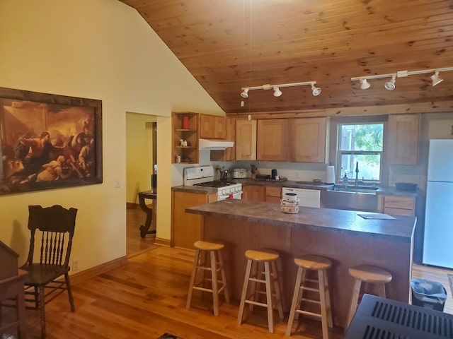 3354 E Arthur, Rothbury, MI 49452 - kitchen featuring track lighting, white appliances, under cabinet range hood, a sink, and high vaulted ceiling