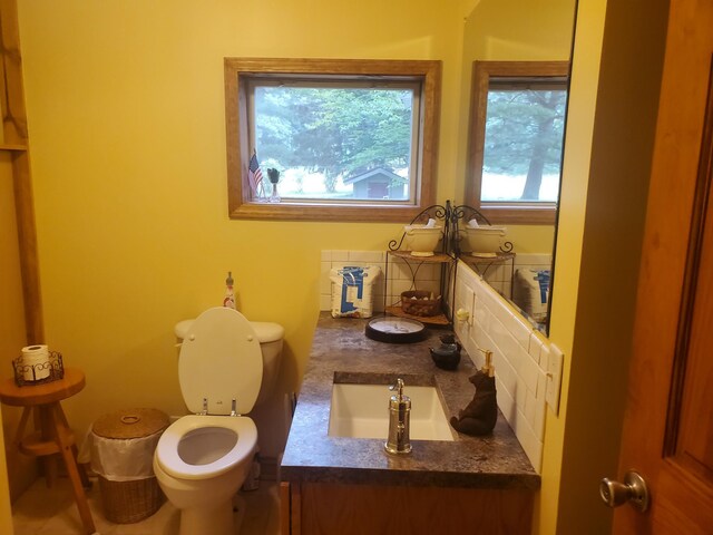 3354 E Arthur, Rothbury, MI 49452 - bathroom featuring plenty of natural light, vanity, toilet, and decorative backsplash