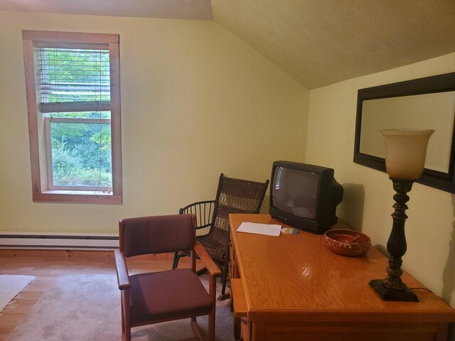 3354 E Arthur, Rothbury, MI 49452 - office area with a baseboard radiator, vaulted ceiling, and wood finished floors