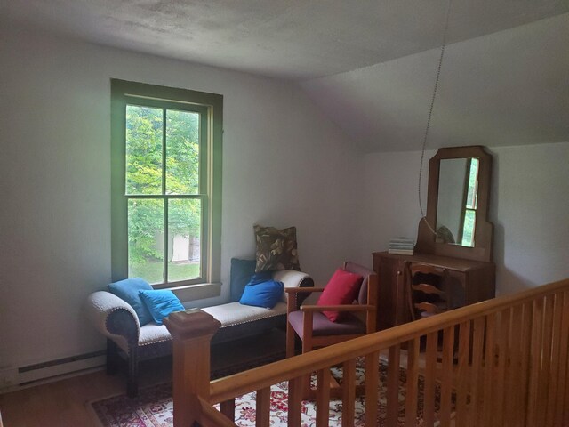 3354 E Arthur, Rothbury, MI 49452 - bedroom featuring a baseboard heating unit, wood finished floors, multiple windows, lofted ceiling, and baseboards