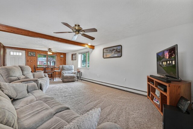 217 Winona Pl, Cadillac, MI 49601