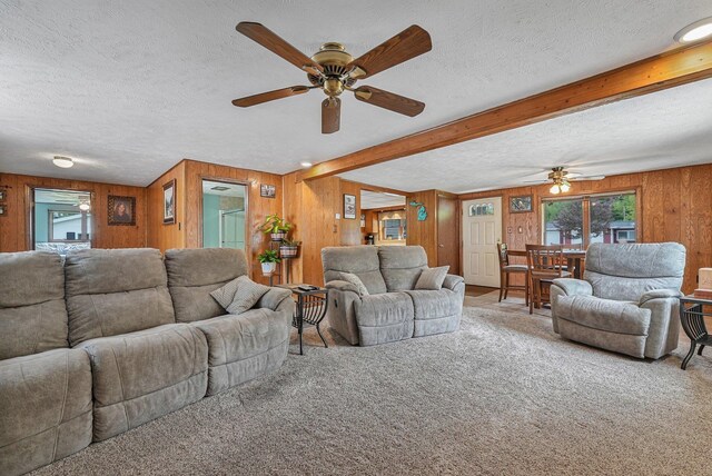 217 Winona Pl, Cadillac, MI 49601