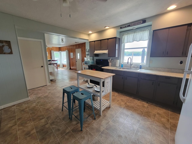 63186 W Fish Lake Rd, Sturgis, MI 49091 - photo 2