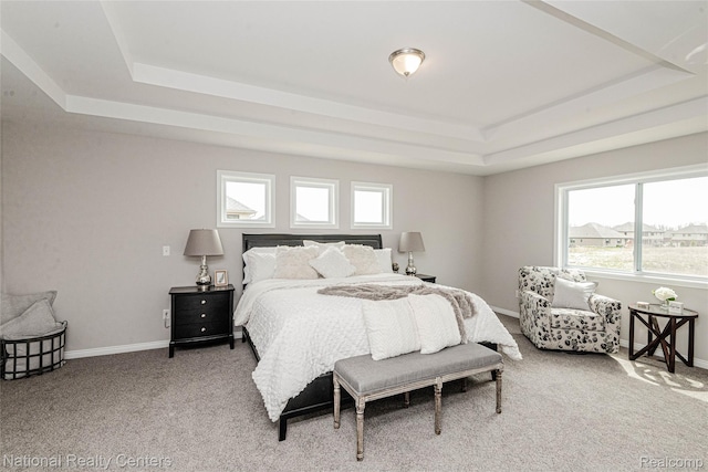 20 Medford Hill Dr, Metamora, MI 48455 - bedroom featuring a raised ceiling, light carpet, and baseboards