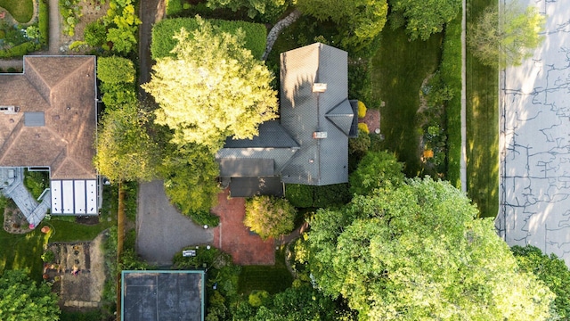 301 N Grove St, Ypsilanti, MI 48198 - drone / aerial view