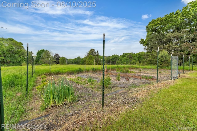 917 Middle Rd, Highland, MI 48357 - view of yard