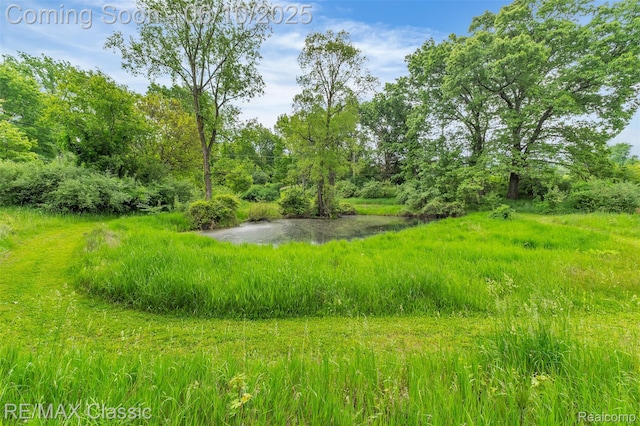 917 Middle Rd, Highland, MI 48357 - view of undeveloped land