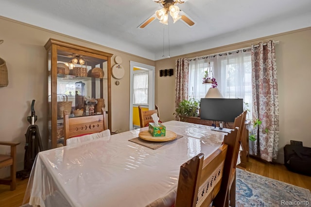 224 Mohawk St, Dearborn, MI 48124 - photo 25