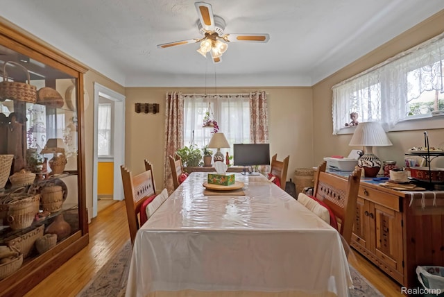 224 Mohawk St, Dearborn, MI 48124 - photo 24