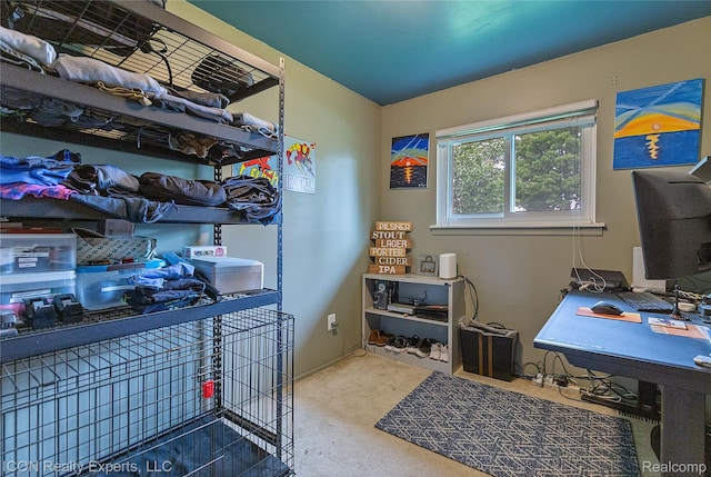 38505 Littlefield Dr, Sterling Heights, MI 48312 - office with carpet floors