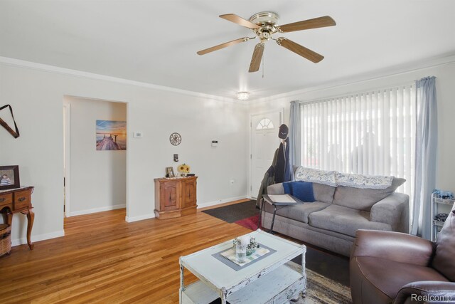 4811 Briarwood Ave, Royal Oak, MI 48073 - living room featuring light wood-type flooring, ornamental molding, a ceiling fan, and baseboards