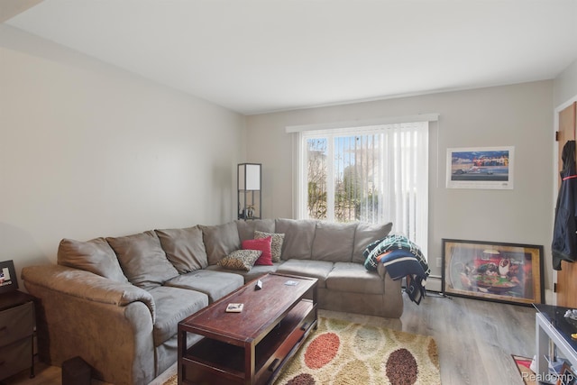 4811 Briarwood Ave, Royal Oak, MI 48073 - living room featuring wood finished floors