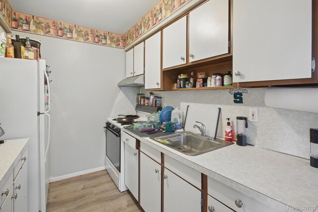 4811 Briarwood Ave, Royal Oak, MI 48073 - kitchen featuring white appliances, under cabinet range hood, a sink, and light countertops