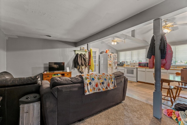 2240 S 13th St, Niles, MI 49120 - living area with a ceiling fan, vaulted ceiling, and light wood-style floors