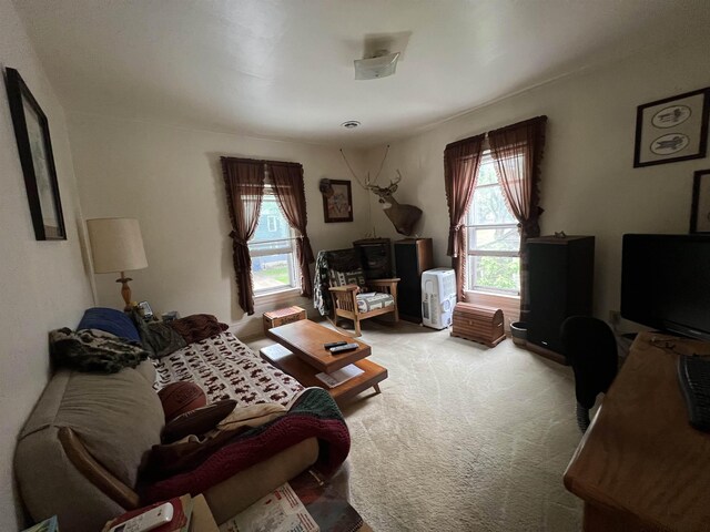 821 Cotey, Cadillac, MI 49601