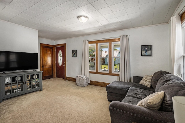 241 E Corey St, Bronson, MI 49028 - carpeted living room with plenty of natural light, crown molding, and baseboards